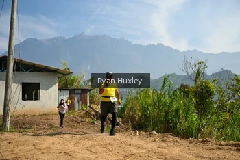 Runner Photo 5280885