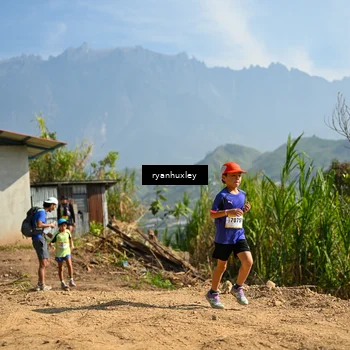 Runner Photo 5280904