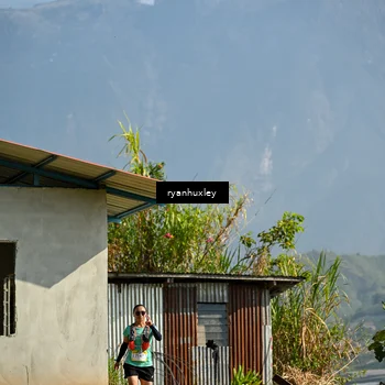 Runner Photo 5280942
