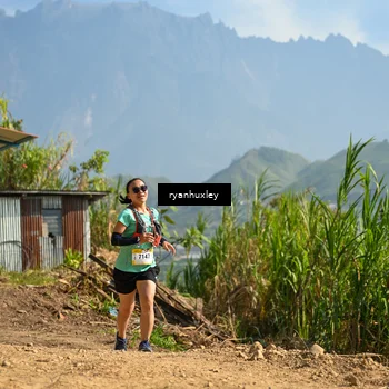 Runner Photo 5280962
