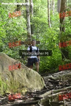 Runner Photo 528102