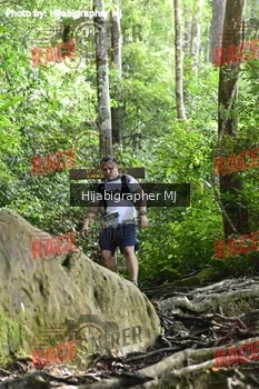 Runner Photo 528104