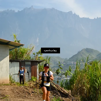 Runner Photo 5281062