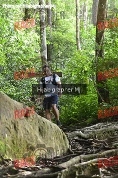 Runner Photo 528107