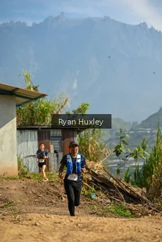 Runner Photo 5281079