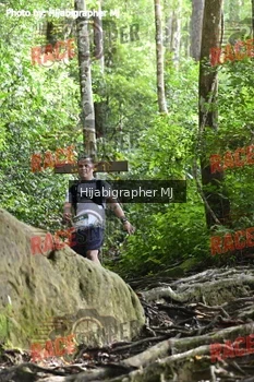 Runner Photo 528110