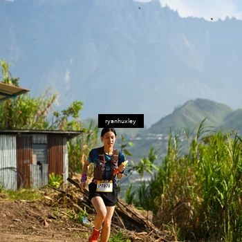 Runner Photo 5281103