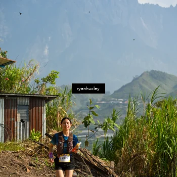 Runner Photo 5281105