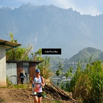 Runner Photo 5281138