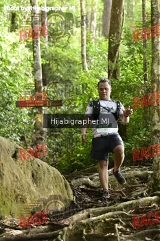 Runner Photo 528120
