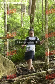 Runner Photo 528124