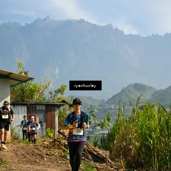 Runner Photo 5281242