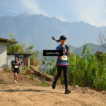 Runner Photo 5281253