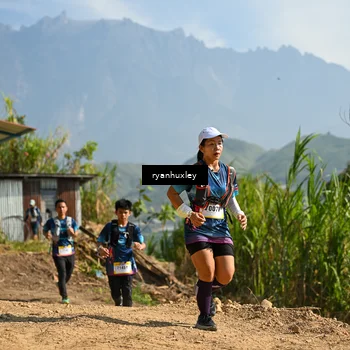Runner Photo 5281284