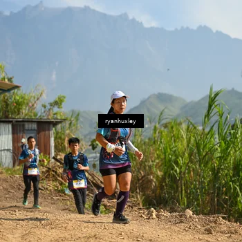Runner Photo 5281288