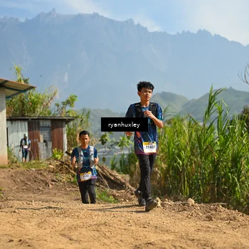 Runner Photo 5281291