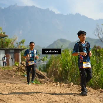 Runner Photo 5281302