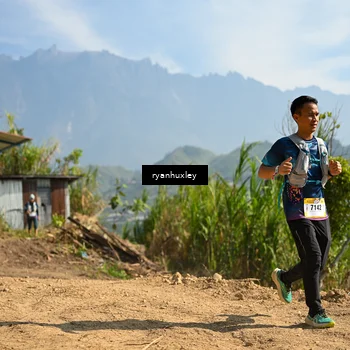 Runner Photo 5281319