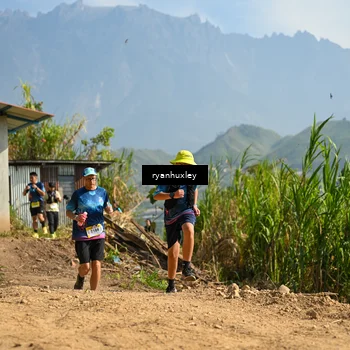 Runner Photo 5281403