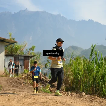 Runner Photo 5281418