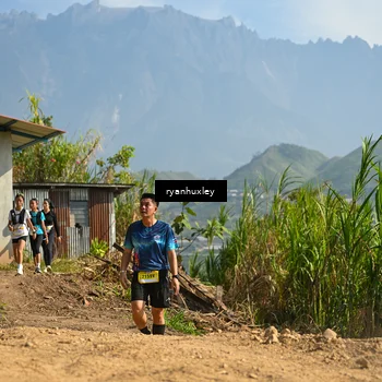 Runner Photo 5281423
