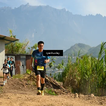 Runner Photo 5281425