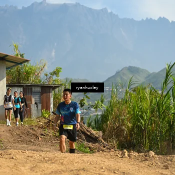 Runner Photo 5281426