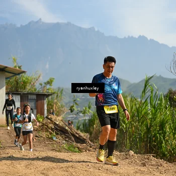 Runner Photo 5281431