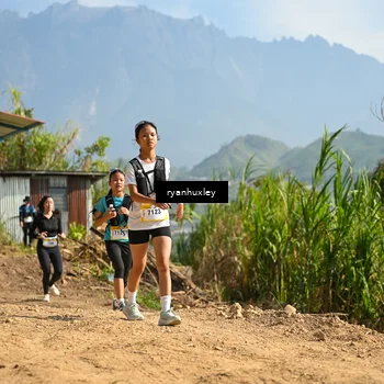 Runner Photo 5281462