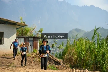 Runner Photo 5281471