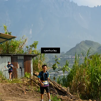 Runner Photo 5281527