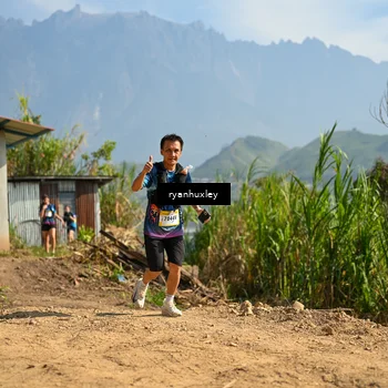 Runner Photo 5281548