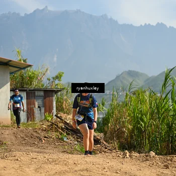 Runner Photo 5281615