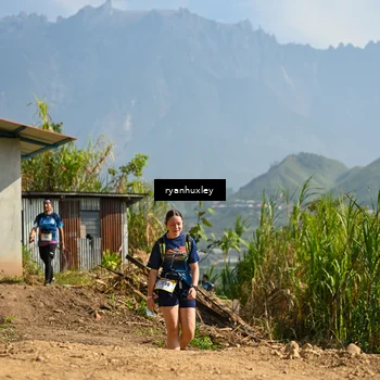 Runner Photo 5281624