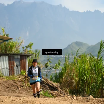 Runner Photo 5281764