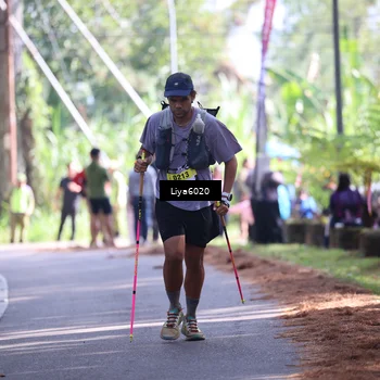 Runner Photo 5281865