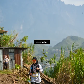 Runner Photo 5281904
