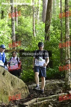 Runner Photo 528201