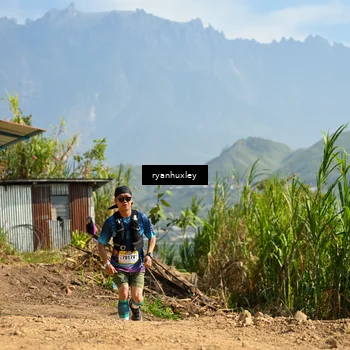 Runner Photo 5282042