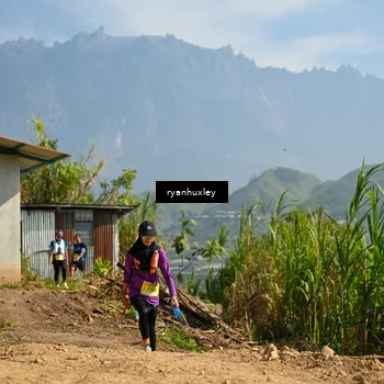Runner Photo 5282058