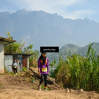 Runner Photo 5282068