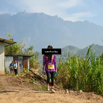 Runner Photo 5282070