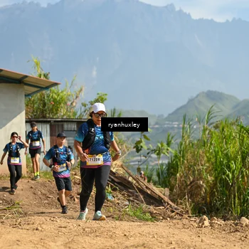 Runner Photo 5282187