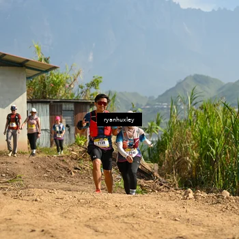 Runner Photo 5282272