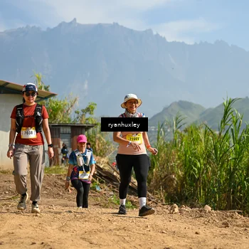 Runner Photo 5282295