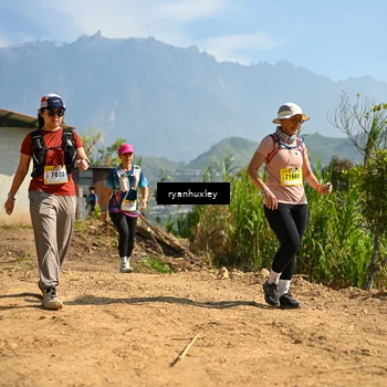 Runner Photo 5282298