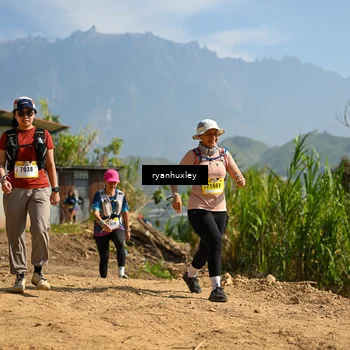 Runner Photo 5282305