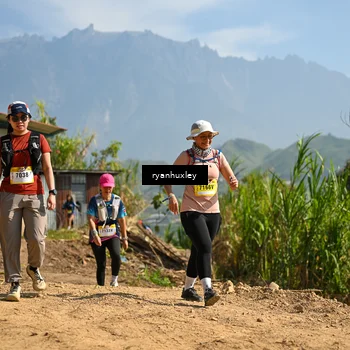 Runner Photo 5282309