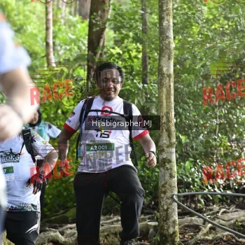 Runner Photo 528241