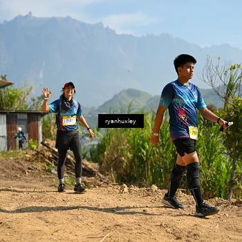Runner Photo 5282425